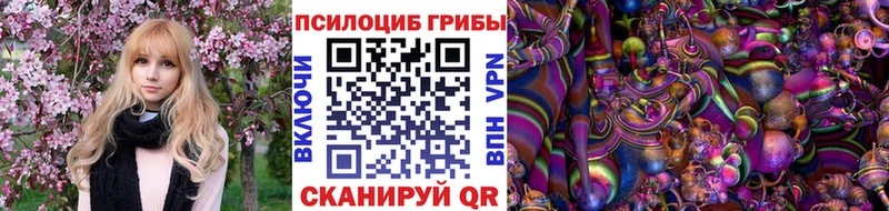 нарко площадка наркотические препараты  Иланский  Псилоцибиновые грибы Psilocybine cubensis  где продают  